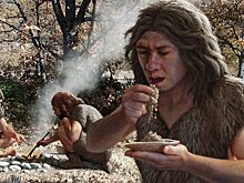 Ученые рассказали, какую пищу предпочитали неандертальцы