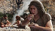 Ученые рассказали, какую пищу предпочитали неандертальцы
