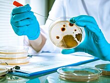 Источник сообщил о создании в ГД межфракционной рабочей группы по вопросам биобезопасности