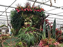 В Лондоне открывается самая престижная в мире садоводческая выставка