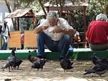 В Греции отменили акцизный налог на вино