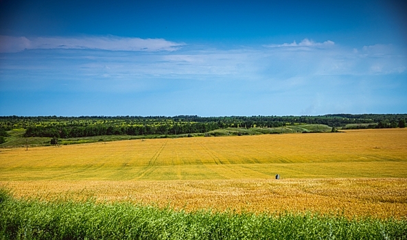 Волгоградские аграрии стали активнее применять минеральные удобрения