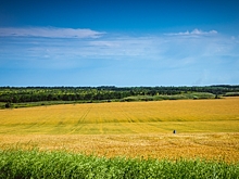 Волгоградские аграрии стали активнее применять минеральные удобрения