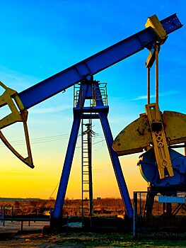 Al-Eqtisadiya: США возмущены решением ОПЕК+, но при этом сами хотят принять потолок цен