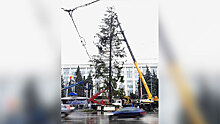 Жителей Кишинева возмутила украинская елка