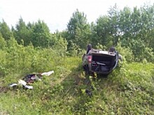 Под Вытегрой джип пьяного шофера улетел в кювет, трое пострадавших