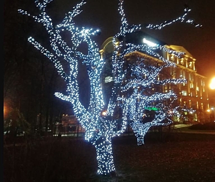 Фоторепортаж. В Калининграде засияло первое новогоднее убранство