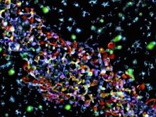 На Bayer надвигается второе цунами глифосатных исков в США