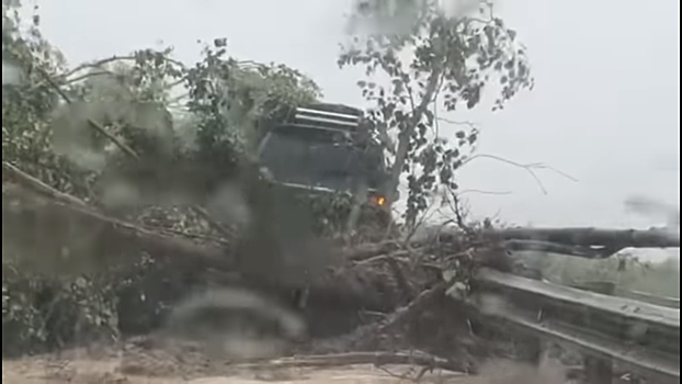 Внедорожник с людьми зажало в дереве на Сахалине. Видео