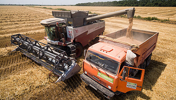 Хлеб для половины мира: рекорды России на мировых рынках