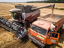 Хлеб для половины мира: рекорды России на мировых рынках