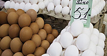 Rai Al Youm (Великобритания): почему лучше покупать белые, а не коричневые яйца