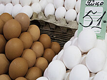 Rai Al Youm (Великобритания): почему лучше покупать белые, а не коричневые яйца