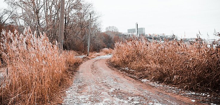 Погода в Ижевске: ночные -7°С и снег