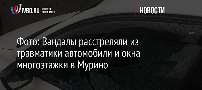 Фото: Вандалы расстреляли из травматики автомобили и окна многоэтажки в Мурино