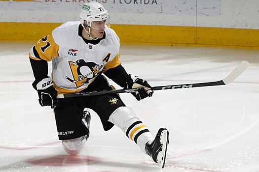 Евгений Малкин оштрафован на $ 5 тыс. за удар соперника клюшкой