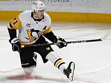 Евгений Малкин оштрафован на $ 5 тыс. за удар соперника клюшкой