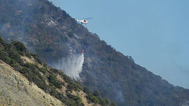 Лесной пожар в Анапе полностью потушили