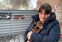 Пожарные спасли двух собак из загоревшегося частного дома в Новосибирске