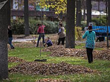 10.59: почему нельзя брать родственников на работу — крик души бишкекчанки