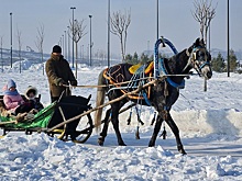 Жители Магнитогорска отметят день рождения ММК вместе с «Валенками»