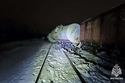 Миляев: из-за аварии грузового состава ожидаются задержки пассажирских поездов