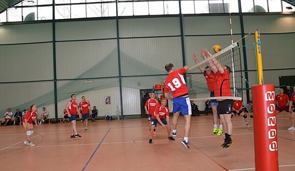 Сотрудники Внуковской таможни приняли участие в соревнованиях по волейболу