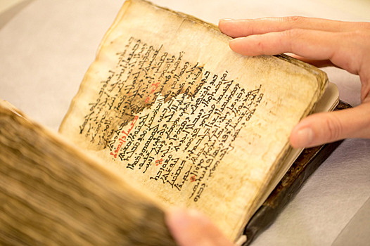 Что скрывает древний медицинский документ