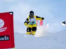 Рейхерд завоевал бронзу по фристайлу-могул FIS Open