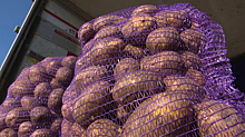 Воронежцев напугали ростом цен на картофель