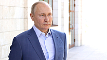 Более 545 тысяч обращений поступило к прямой линии Путина
