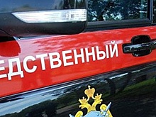 Главу сельской администрации на Смоленщине поймали на фальсификации