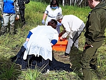 «Был бы он жив завтра? Мы не знаем» - поисковики опубликовали видео спасения омского пенсионера, которого ...