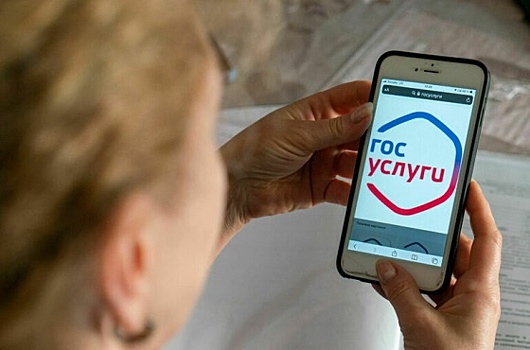 В России жалобы на мошенников смогут принимать «Госуслуги»