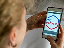В России жалобы на мошенников смогут принимать «Госуслуги»