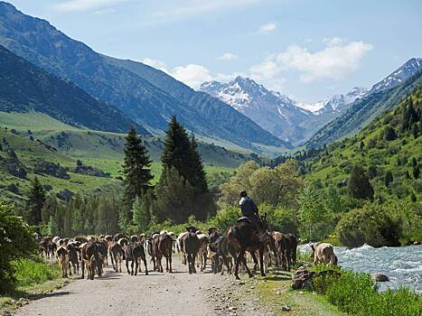 Что нужно знать туристу об отдыхе в Киргизии