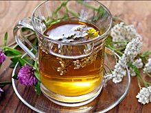 Злоупотребление травяным чаем может вызвать рак