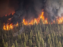 Квят привлёк внимание к проблеме пожаров в Якутии