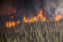 Квят привлёк внимание к проблеме пожаров в Якутии