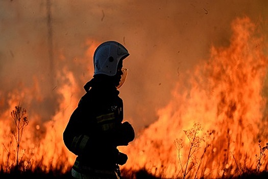 Жертвами взрыва на химзаводе в Фергане стали пять человек