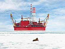 «Газпром нефть» показала Экологический атлас Печорского моря