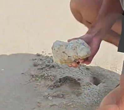 Путешественники нашли на пляже в Таиланде амбру за 11 млн рублей