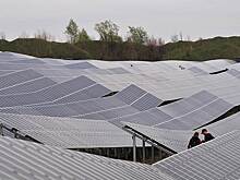 «Ренова» ищет проекты за рубежом