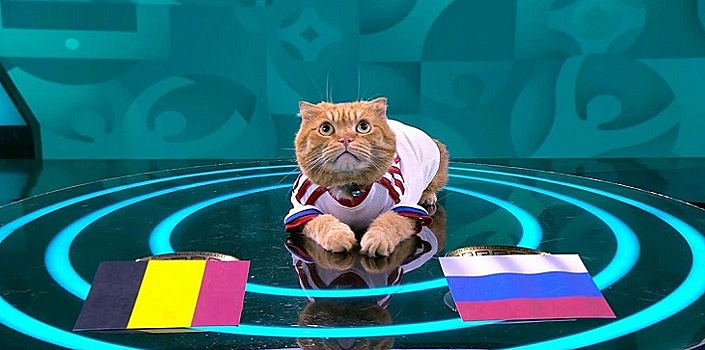 Комментатор «Матч ТВ» потроллил кота Губерниева за прогноз матча Дания – Россия