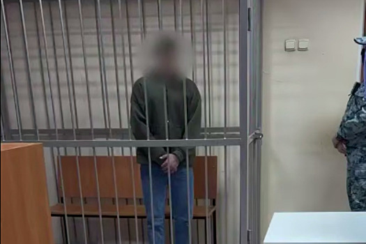 Подростка, обвиняемого в убийстве многодетной матери, отправили в СИЗО