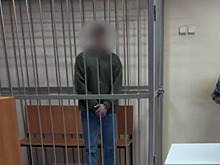 Подростка, обвиняемого в убийстве многодетной матери, отправили в СИЗО