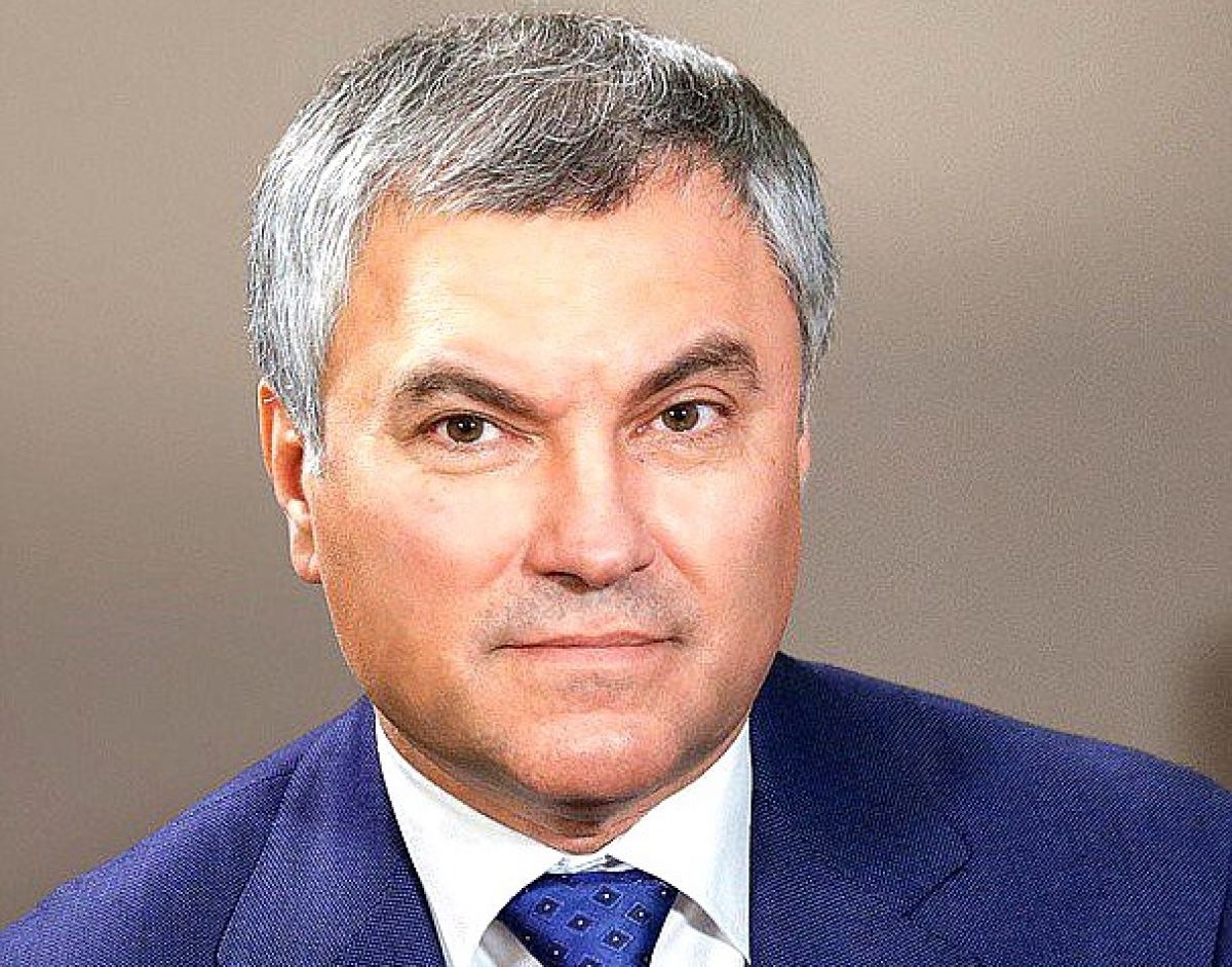 Володин: Релокантов с негативом к РФ ждет суд