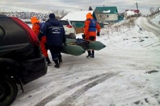 В Челябинской области спасатели спасли лебедей, рискуя собственной жизнью