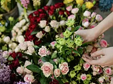 «Будет еще дороже!»: Цветы в России подорожали на 30% за 2025 год