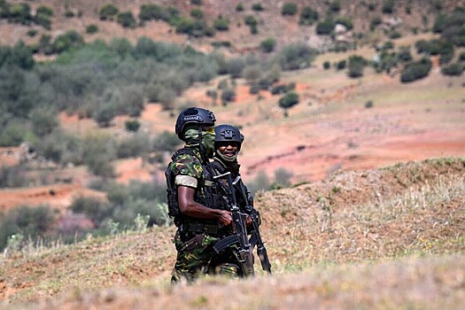 Террористы похитили несколько десятков девочек из школы-интерната